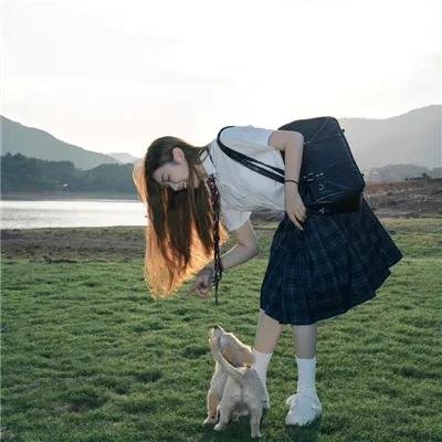 哈莱姆的郁金香